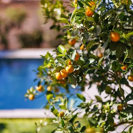 Holiday home Newly Renovated House With Pool In Center